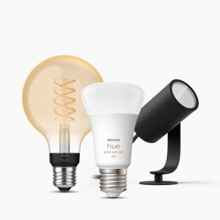 Bulbs & lamps